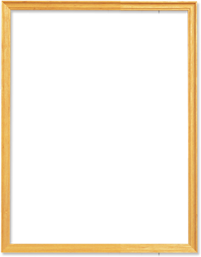 質量先鋒檔案公示產品